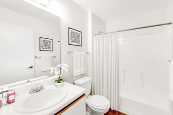 Step-in shower and bathtubs